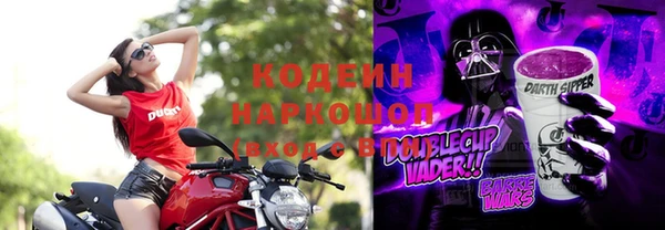 индика Мегион