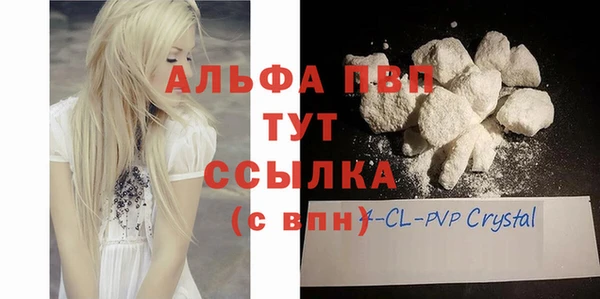 гашик Медногорск