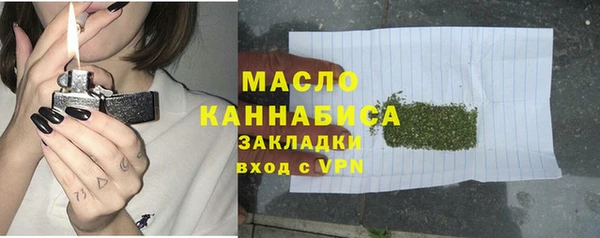 индика Мегион