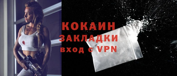 индика Мегион