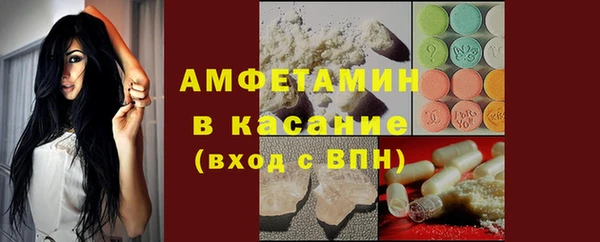 индика Мегион