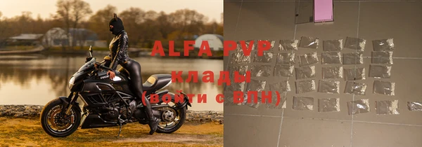 гашик Медногорск