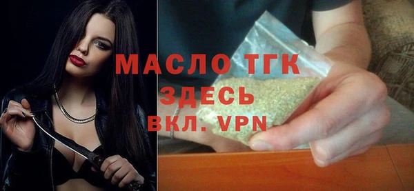 индика Мегион