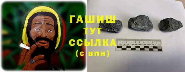 индика Мегион