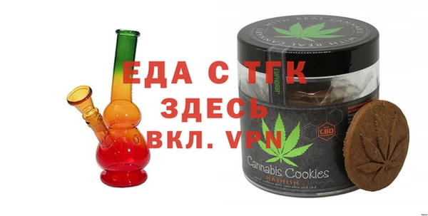 индика Мегион