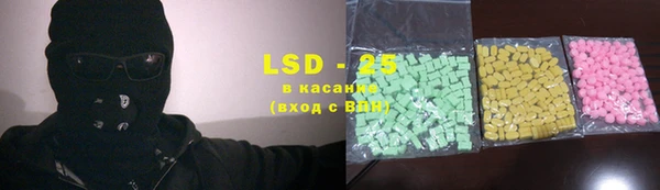индика Мегион