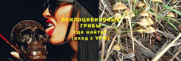 стаф Медвежьегорск
