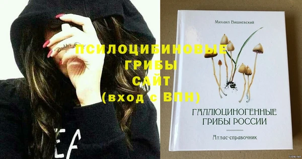 гашик Медногорск