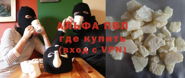 индика Мегион