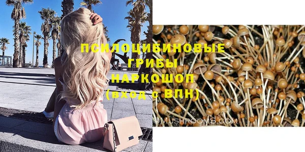 гашик Медногорск