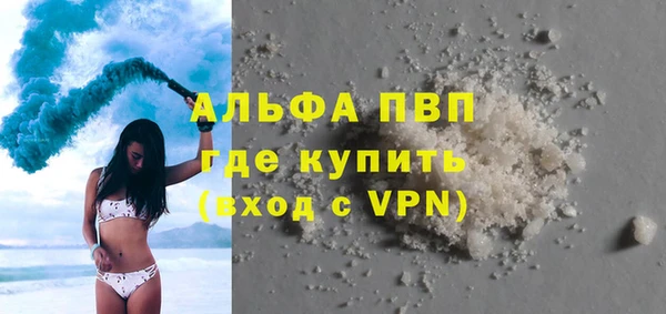 индика Мегион