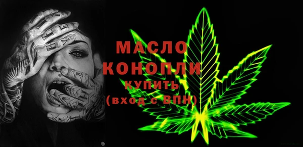 индика Мегион