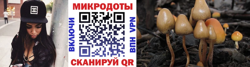 где найти   Талица  нарко площадка Telegram  Псилоцибиновые грибы прущие грибы 